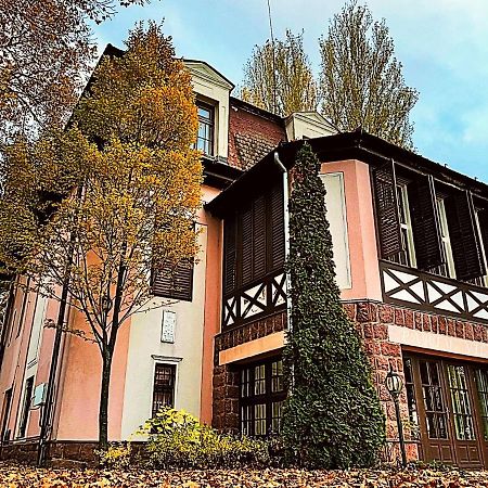 Party Villa Holiday Rent Balatonfoldvar Luaran gambar