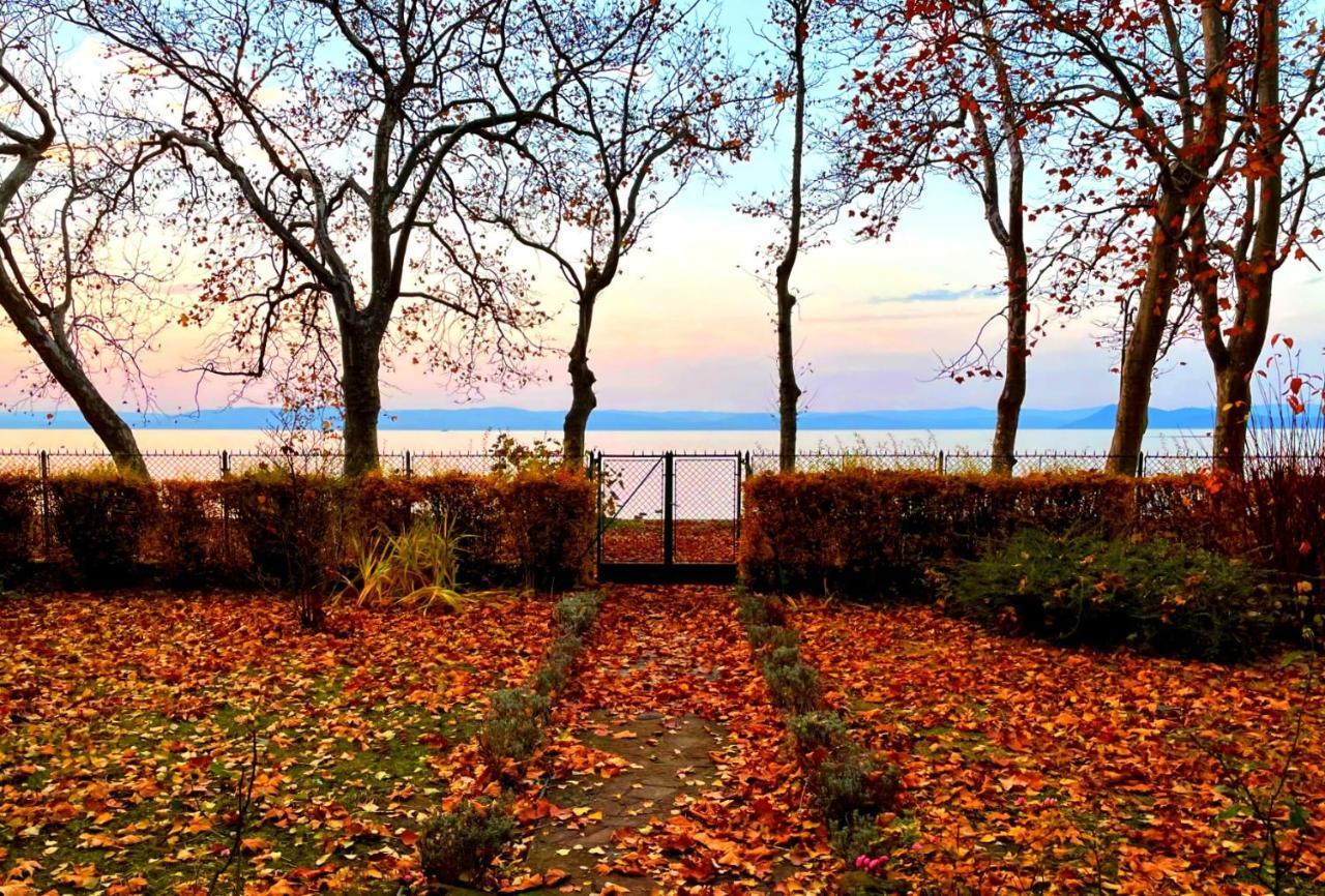 Party Villa Holiday Rent Balatonfoldvar Luaran gambar