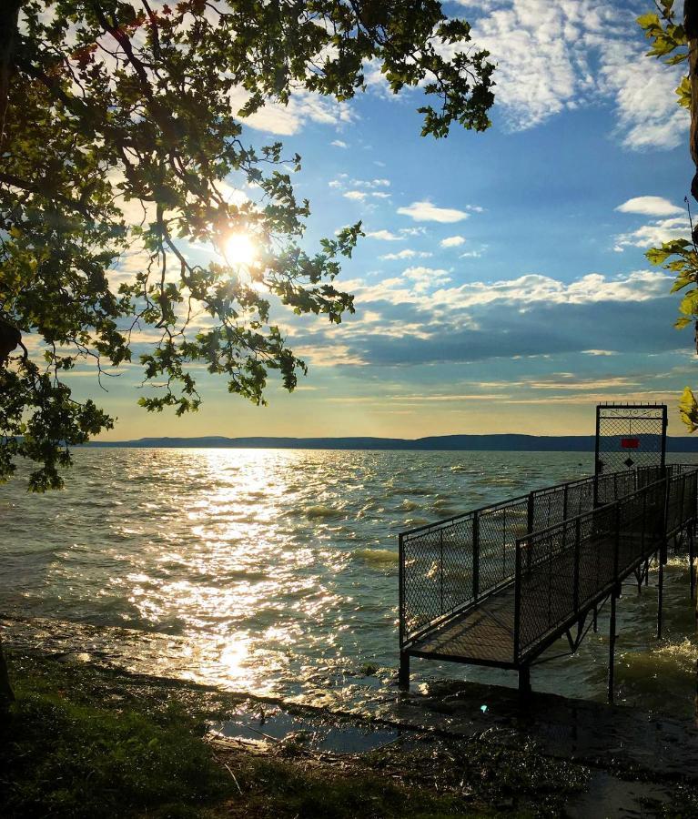 Party Villa Holiday Rent Balatonfoldvar Luaran gambar