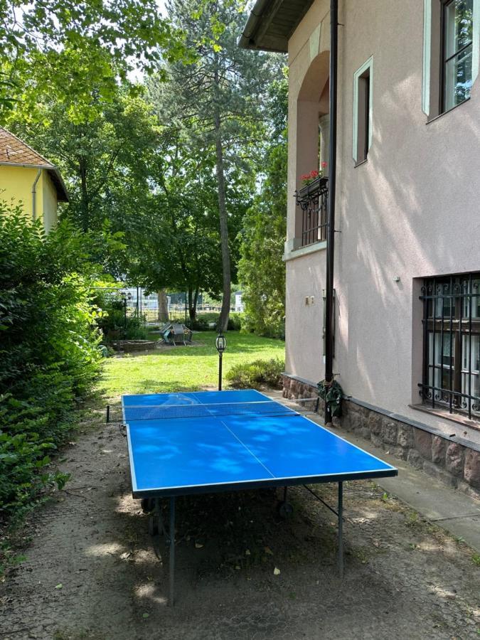 Party Villa Holiday Rent Balatonfoldvar Luaran gambar