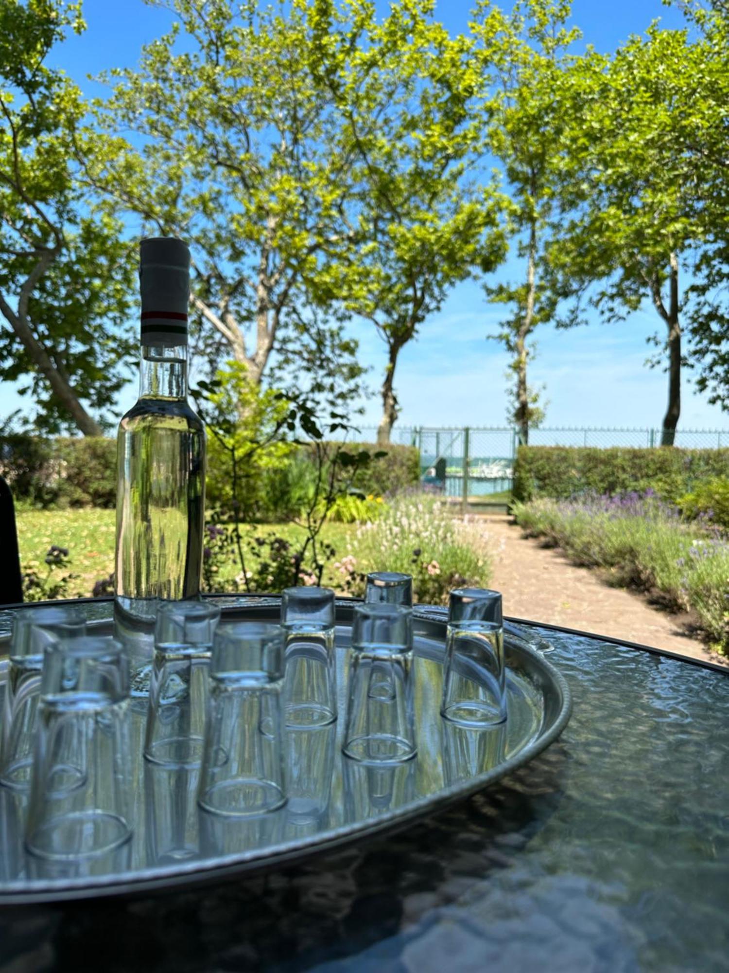 Party Villa Holiday Rent Balatonfoldvar Luaran gambar